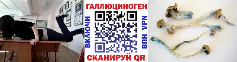 Псилоцибиновые грибы Cubensis Алагир